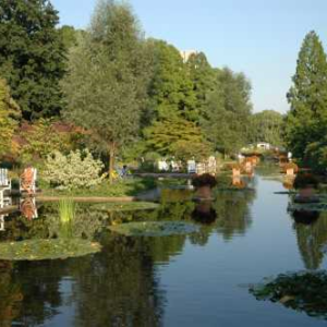 Gorgious views at Planten un Blomen"