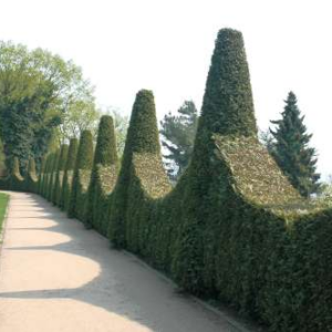 Roman Garden in Hamburg St. Pauli"