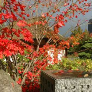 The Japanese Garden in Planten un Blomen"